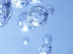 Ingredient - Vetnex natural animal care products